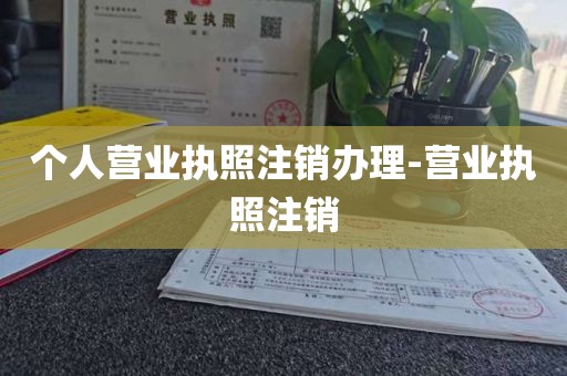 个人营业执照注销办理-营业执照注销