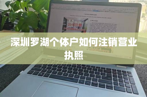深圳罗湖个体户如何注销营业执照
