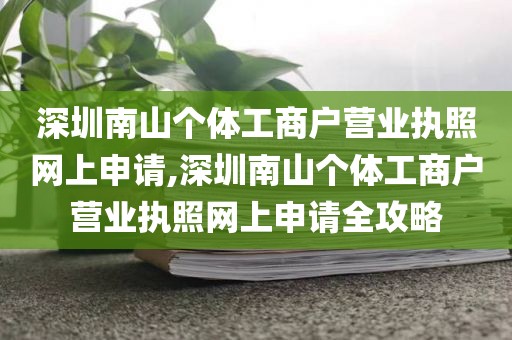 深圳南山个体工商户营业执照网上申请,深圳南山个体工商户营业执照网上申请全攻略