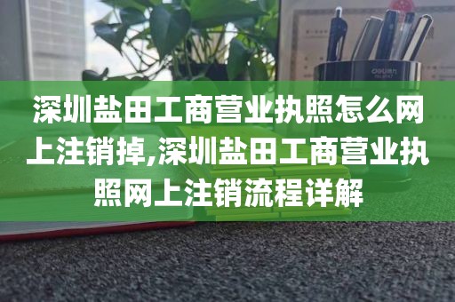 深圳盐田工商营业执照怎么网上注销掉,深圳盐田工商营业执照网上注销流程详解