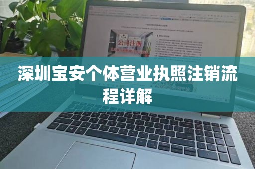 深圳宝安个体营业执照注销流程详解
