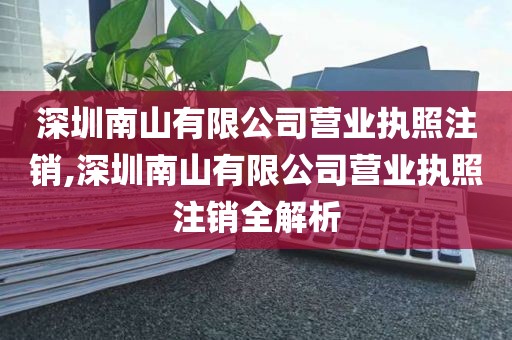 深圳南山有限公司营业执照注销,深圳南山有限公司营业执照注销全解析