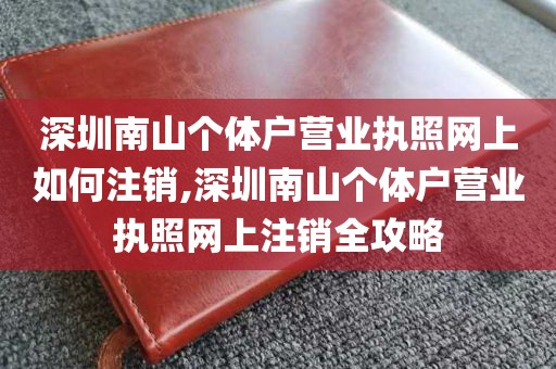 深圳南山个体户营业执照网上如何注销,深圳南山个体户营业执照网上注销全攻略