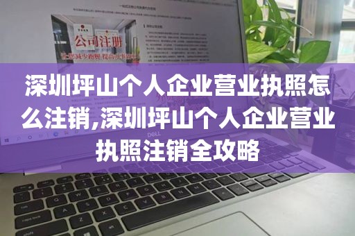 深圳坪山个人企业营业执照怎么注销,深圳坪山个人企业营业执照注销全攻略