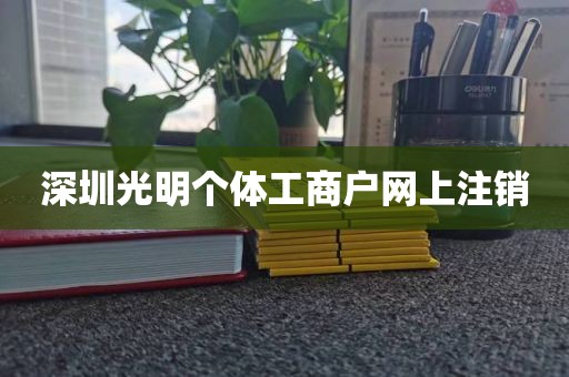 深圳光明个体工商户网上注销