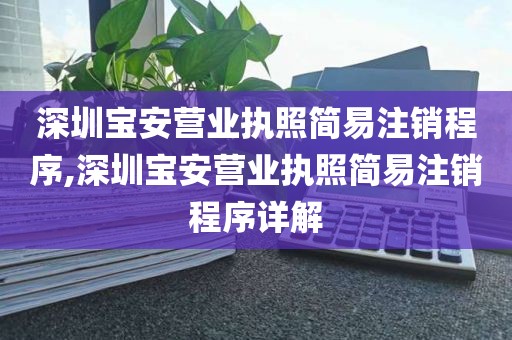 深圳宝安营业执照简易注销程序,深圳宝安营业执照简易注销程序详解