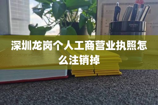 深圳龙岗个人工商营业执照怎么注销掉