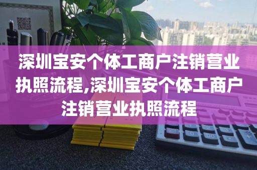 深圳宝安个体工商户注销营业执照流程,深圳宝安个体工商户注销营业执照流程