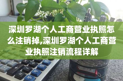 深圳罗湖个人工商营业执照怎么注销掉,深圳罗湖个人工商营业执照注销流程详解