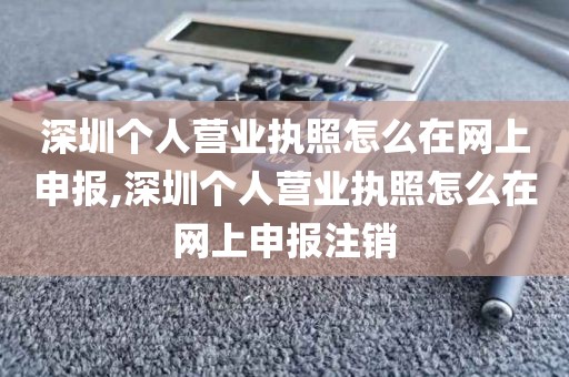 深圳个人营业执照怎么在网上申报,深圳个人营业执照怎么在网上申报注销