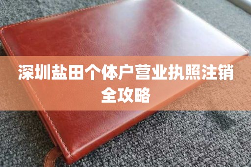 深圳盐田个体户营业执照注销全攻略