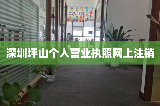 深圳坪山个人营业执照网上注销