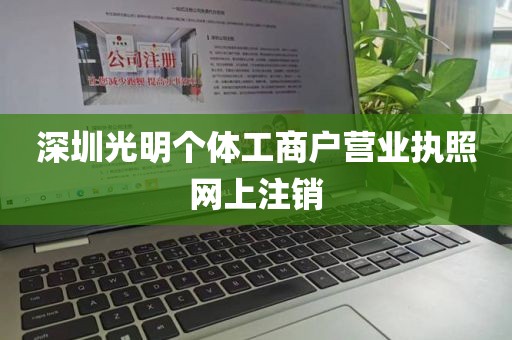 深圳光明个体工商户营业执照网上注销