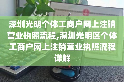 深圳光明个体工商户网上注销营业执照流程,深圳光明区个体工商户网上注销营业执照流程详解