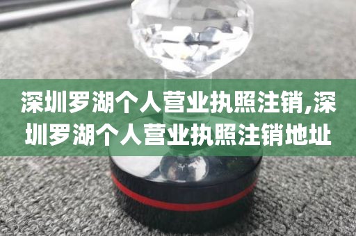 深圳罗湖个人营业执照注销,深圳罗湖个人营业执照注销地址