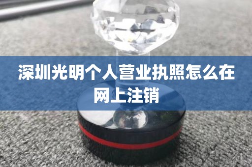 深圳光明个人营业执照怎么在网上注销