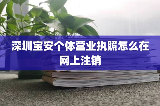 深圳宝安个体营业执照怎么在网上注销
