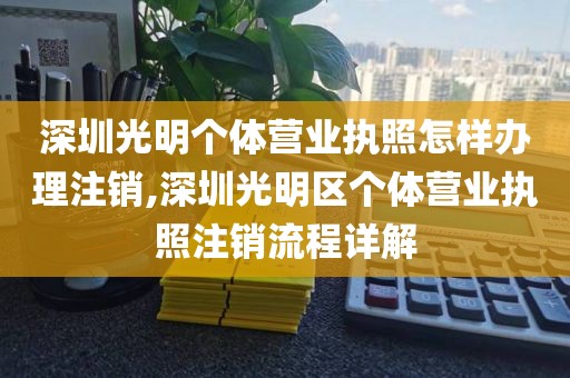 深圳光明个体营业执照怎样办理注销,深圳光明区个体营业执照注销流程详解