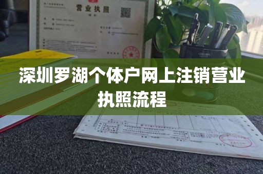 深圳罗湖个体户网上注销营业执照流程
