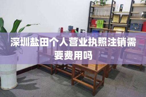 深圳盐田个人营业执照注销需要费用吗