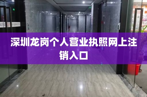 深圳龙岗个人营业执照网上注销入口