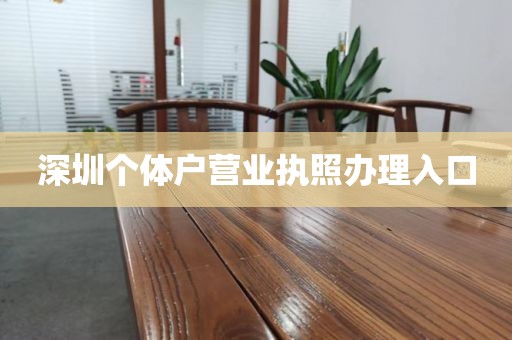 深圳个体户营业执照办理入口