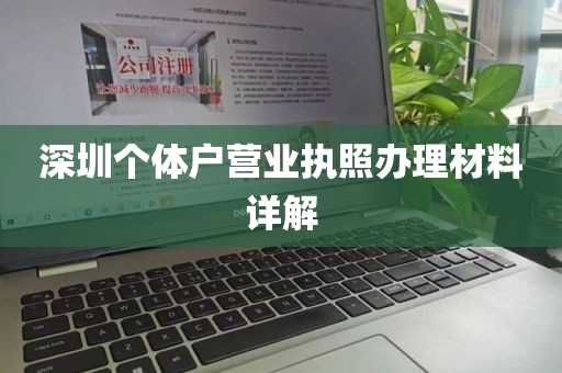深圳个体户营业执照办理材料详解