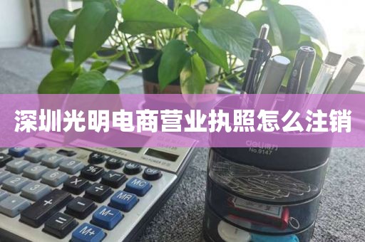 深圳光明电商营业执照怎么注销