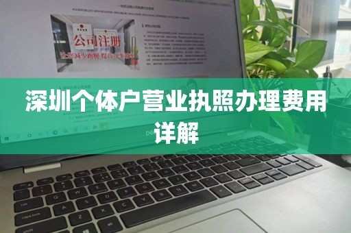 深圳个体户营业执照办理费用详解