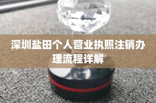 深圳盐田个人营业执照注销办理流程详解