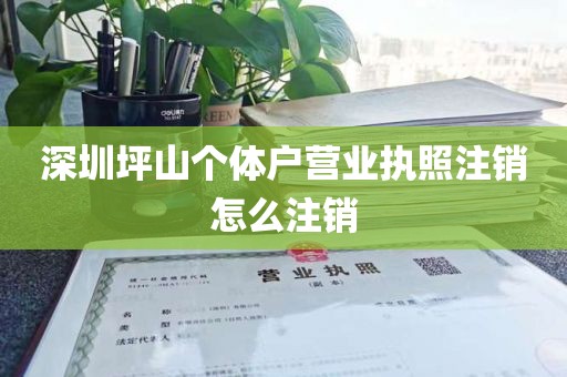 深圳坪山个体户营业执照注销怎么注销