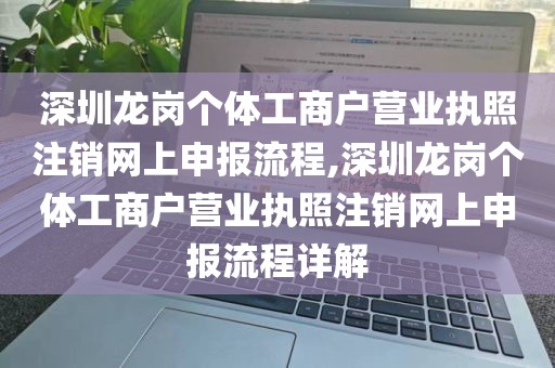 深圳龙岗个体工商户营业执照注销网上申报流程,深圳龙岗个体工商户营业执照注销网上申报流程详解
