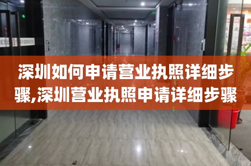 深圳如何申请营业执照详细步骤,深圳营业执照申请详细步骤