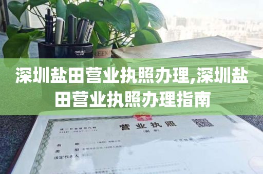 深圳盐田营业执照办理,深圳盐田营业执照办理指南