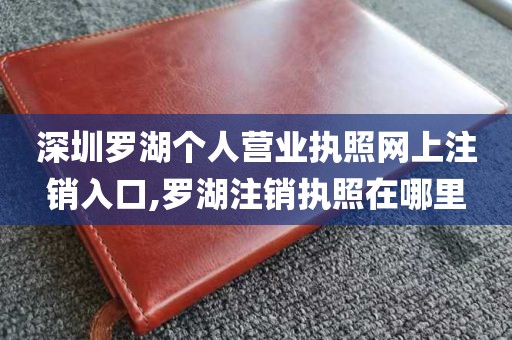 深圳罗湖个人营业执照网上注销入口,罗湖注销执照在哪里