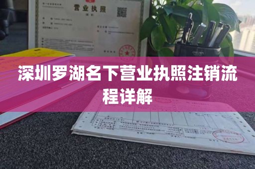 深圳罗湖名下营业执照注销流程详解