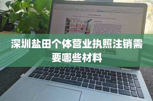 深圳盐田个体营业执照注销需要哪些材料
