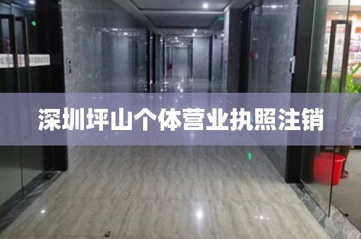 深圳坪山个体营业执照注销