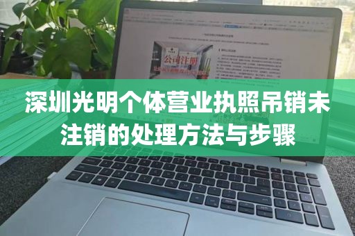 深圳光明个体营业执照吊销未注销的处理方法与步骤