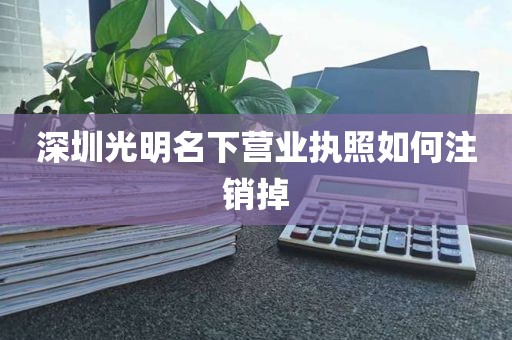 深圳光明名下营业执照如何注销掉