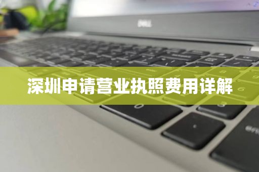 深圳申请营业执照费用详解