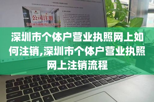 深圳市个体户营业执照网上如何注销,深圳市个体户营业执照网上注销流程