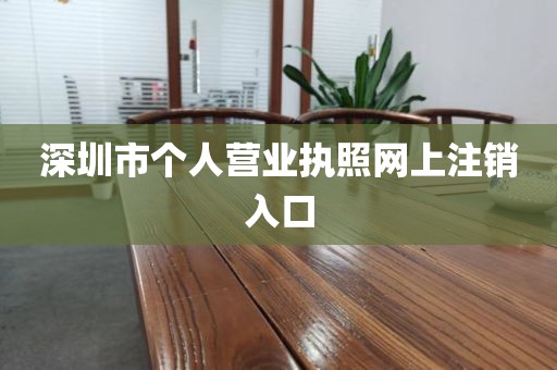 深圳市个人营业执照网上注销入口