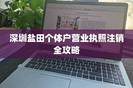 深圳盐田个体户营业执照注销全攻略