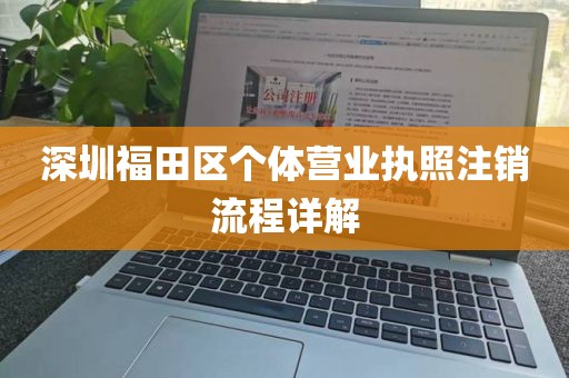深圳福田区个体营业执照注销流程详解