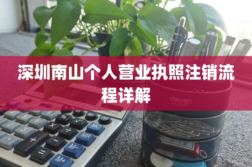 深圳南山个人营业执照注销流程详解