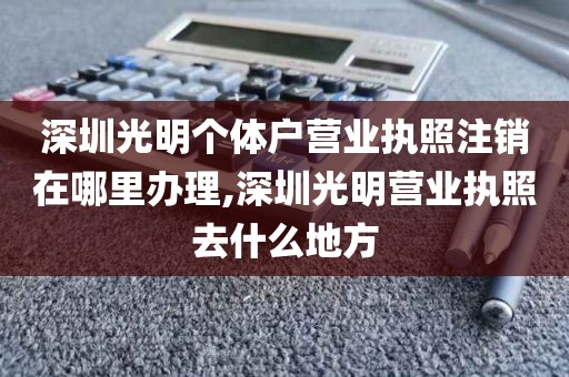 深圳光明个体户营业执照注销在哪里办理,深圳光明营业执照去什么地方