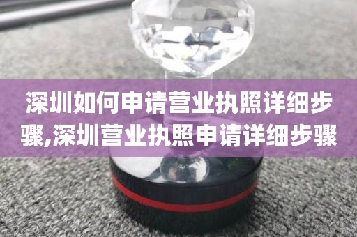 深圳如何申请营业执照详细步骤,深圳营业执照申请详细步骤