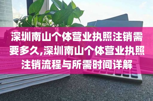 深圳南山个体营业执照注销需要多久,深圳南山个体营业执照注销流程与所需时间详解
