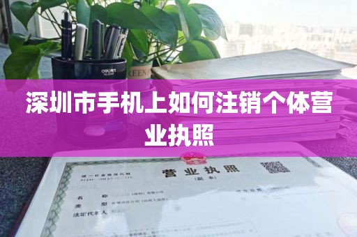 深圳市手机上如何注销个体营业执照